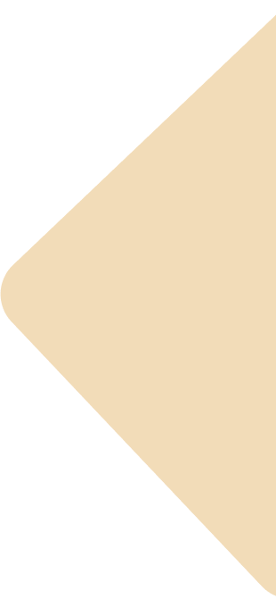 Rectangle 3468246