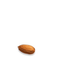 pngimg.com - almond_PNG30 3